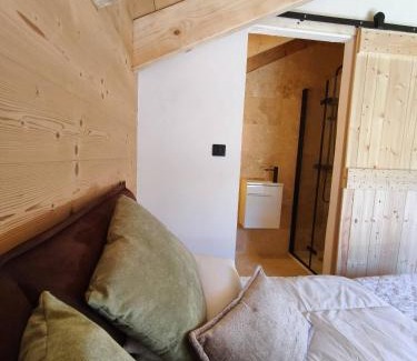 Saint-Jean-de-Sixt Chalet De Esquí | Chalet, exceptional view, high standing - Forest