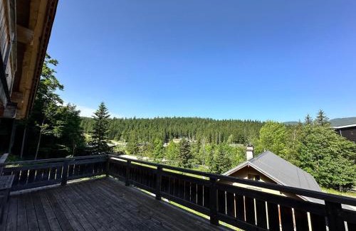 Correncon-en-Vercors Chalet De Esquí | Chalet familial 10 pers, sauna, terrasse – Corrençon en Vercors - FR-1-515-215