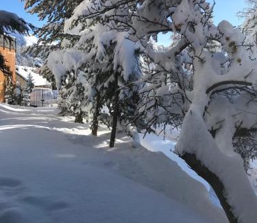 Saint-Etienne-de-Tinee Chalet De Esquí | CHALET FAMILIAL AURON