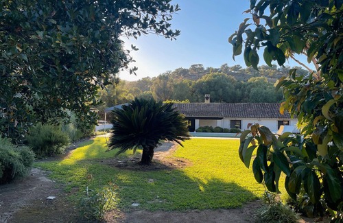 Jimena de la Frontera Casa | Chalet 'Finca El Búho Oak Natural Park' with Sea Views, Wi-Fi and Air Conditioning