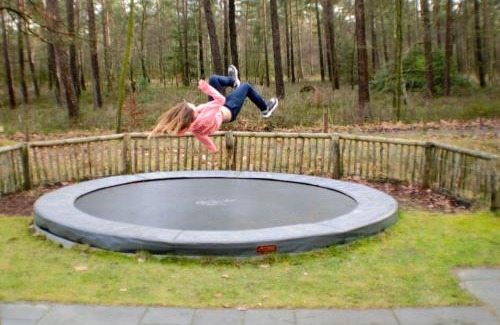 Beekbergen-West Complejo | Chalet & Glamping Ons plekje in het bos