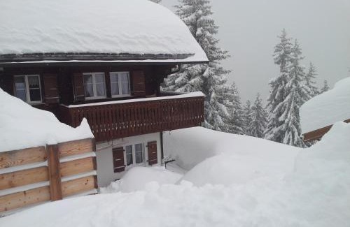 Riederalp Apartamento | Chalet Grazia