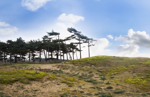 IJmuiden Chalet De Esquí | Chalet en alquiler en las dunas cerca de Strand y Zandvoort