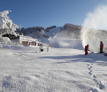 Notre-Dame-de-Bellecombe Chalet De Esquí | Chalet Le Wapiti, aux pieds des pistes, à 200m du village