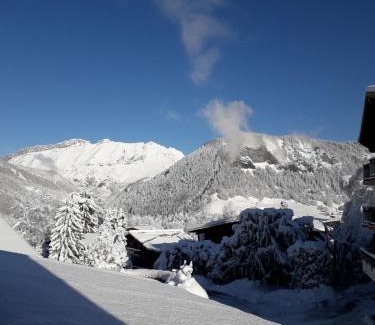Notre-Dame-de-Bellecombe Chalet De Esquí | Chalet Le Wapiti, aux pieds des pistes, à 200m du village
