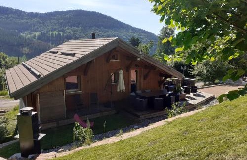 Ventron Chalet De Esquí | Chalet 'la grange à Henry' jusqu'à 8 personnes