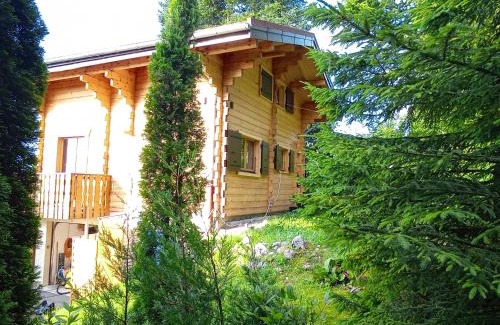 Thollon-les-Memises Chalet De Esquí | Chalet La Trouvaille