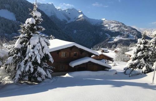 Barboleusaz Chalet De Esquí | Chalet Le Ruissel - 6 personnes - confortable et bien situé