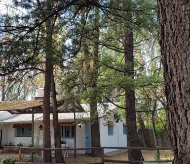 San Rafael Casa | Chalet Los Troncos