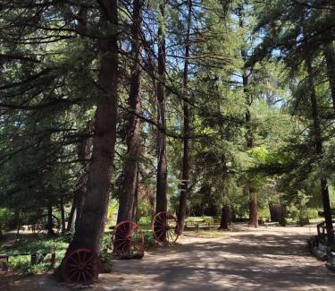 San Rafael Casa | Chalet Los Troncos