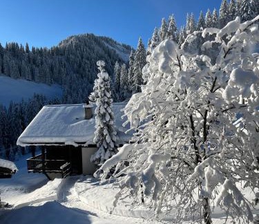 Champoussin Apartamento | Chalet LYS Apartment 14 Rue Sigma