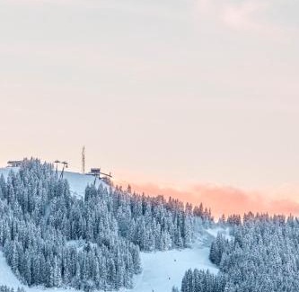 Le Planellet Chalet De Esquí | Chalet Mont d'Arbois Ski et Golf
