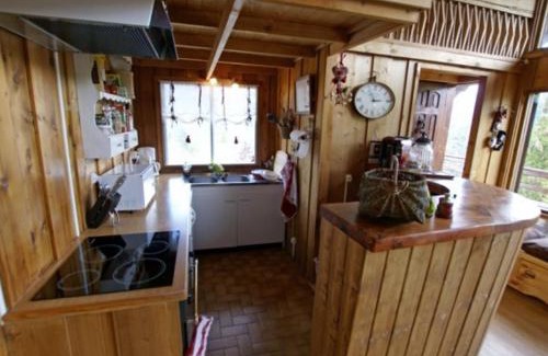 Enchastrayes Chalet De Esquí | Chalet montagnard calme proche ski, cheminée, 10 pers - FR-1-165A-20