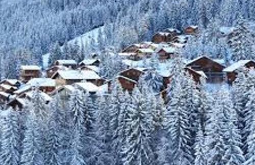 La Perriere Chalet De Esquí | Chalet Noëlla - Chalet traditionnel en bois à 250m des pistes, centre et animations, 14 pers - FR-1-513-60