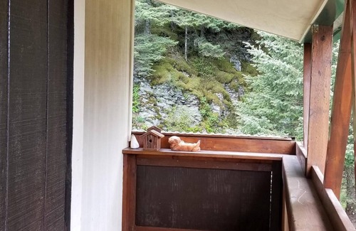 Seward Condominio | Chalet de Seward, Ste B: Ocean & Mountain View (980 SF)