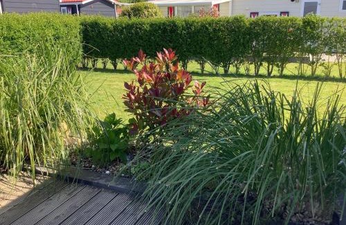Serooskerke Chalet De Esquí | Chalet Olmenduin 112 SE16