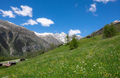 Bellwald Apartamento | Chalet Orion