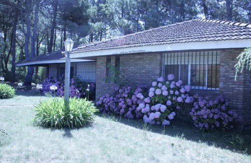 Pinamar Chalet De Esquí | Chalet Panda
