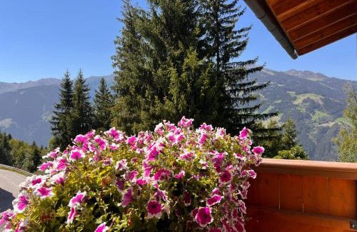 Rohrberg Apartamento | Chalet Platzhirsch Zillertal Arena