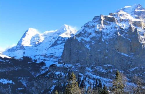 Murren Apartamento | Chalet Raufthubel