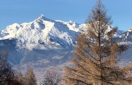 Agettes Chalet De Esquí | Chalet Rossier Mayens de Sion aux 4 Vallées