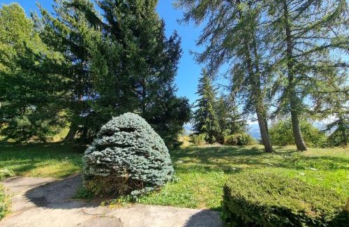 Saint-Michel-de-Chaillol Chalet De Esquí | Chalet spacieux 10 pers, 4 chambres, jardin, cheminée, animaux OK, ménage fin séjour option - FR-1-393-38