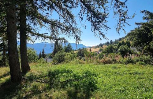 Saint-Michel-de-Chaillol Chalet De Esquí | Chalet spacieux 10 pers, 4 chambres, jardin, cheminée, animaux OK, ménage fin séjour option - FR-1-393-38