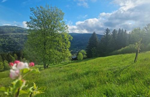 Ventron Casa | Chalet Terejo & spa