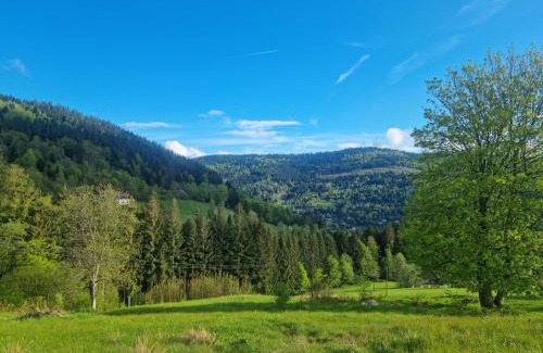 Ventron Casa | Chalet Terejo & spa