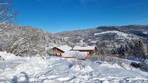 Ventron Casa | Chalet Terejo & spa