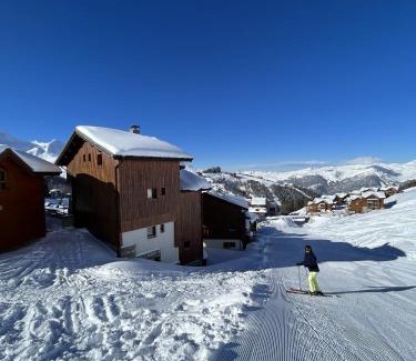 Plagne Soleil Chalet De Esquí | Chalet Topaz - 18 Couchages Sur les Pistes avec Services