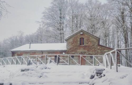 Castel del Piano Chalet De Esquí | Chalet Vecchio Rifugio - Monte Amiata