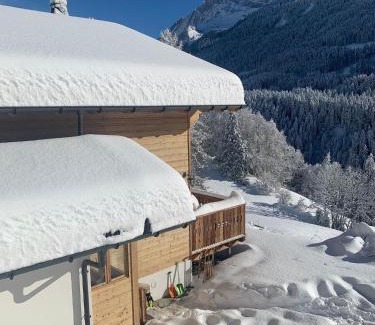 Barboleusaz Chalet De Esquí | Chalet Villars-Gryon 8pax Cosy