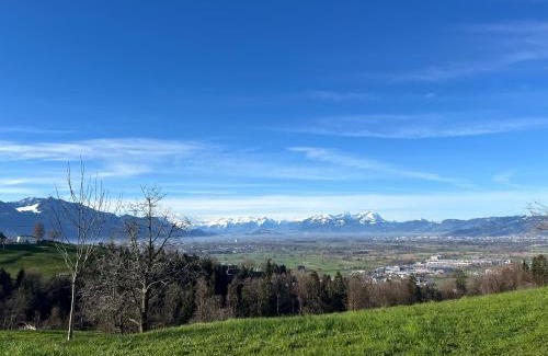 Bildstein Apartamento | Chalet Vinzenz, Bildstein- mit privatem Ski- und Fahrradraum