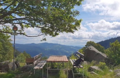 Nompatelize Chalet De Esquí | Chalet Vosgien en A, L'écureuil