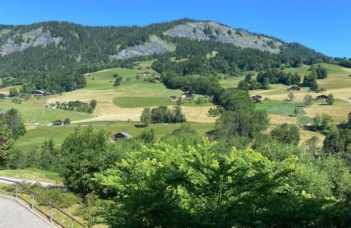 Flumet Apartamento | Chalets des Evettes- appartement vue montagne