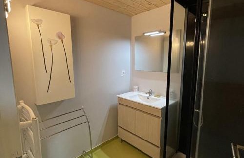 Saint-Jacques-des-Blats Apartamento | Chaleureux duplex avec balcon près des pistes - FR-1-787-16