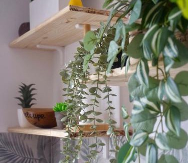 Perinet Apartamento | Chaleureux studio proche plage