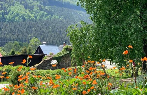 Loucna nad Desnou Casa | Chalupa BožíKout - Kouty nad Desnou