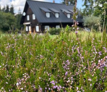 Destne v Orlickych horach Apartamento | Chalupa Luisko