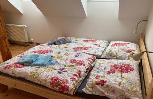Bozkov Apartamento | Chalupa Vošmenda