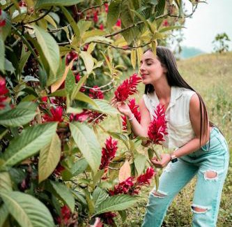 Manizales Casa | Chamí Glamping