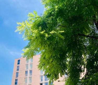 La Belle de Mai Apartamento | Chambre avec balcon dans une appartement la belle de mai