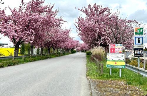 Cleguerec Casa | Chambre avec cuisine à la campagne au calme