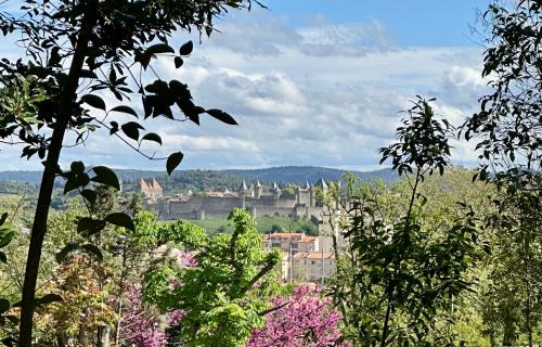 Carcassonne Cama Y Desayuno | Chambre avec vue