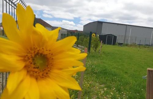 Lons Casa | Chambre calme dans une maison neuve avec jardin