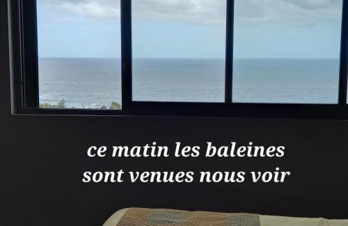 Grand Bois Casa | CHAMBRE CHEZ L HABITANT PISCINE VUE MER SDB et TERRASSE PRIVEE laverie