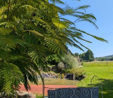La Chapelle-aux-Bois Cama Y Desayuno | Chambre d'hôte Nature Domaine du Bagnerot
