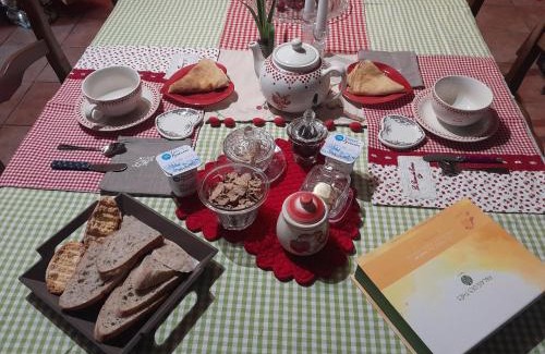 Carmaux Cama Y Desayuno | Chambre d'hôte Amitié et Jardin
