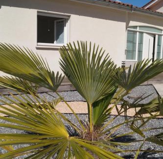 Chamboeuf Cama Y Desayuno | Chambre d'hôte dans une propriété avec piscine